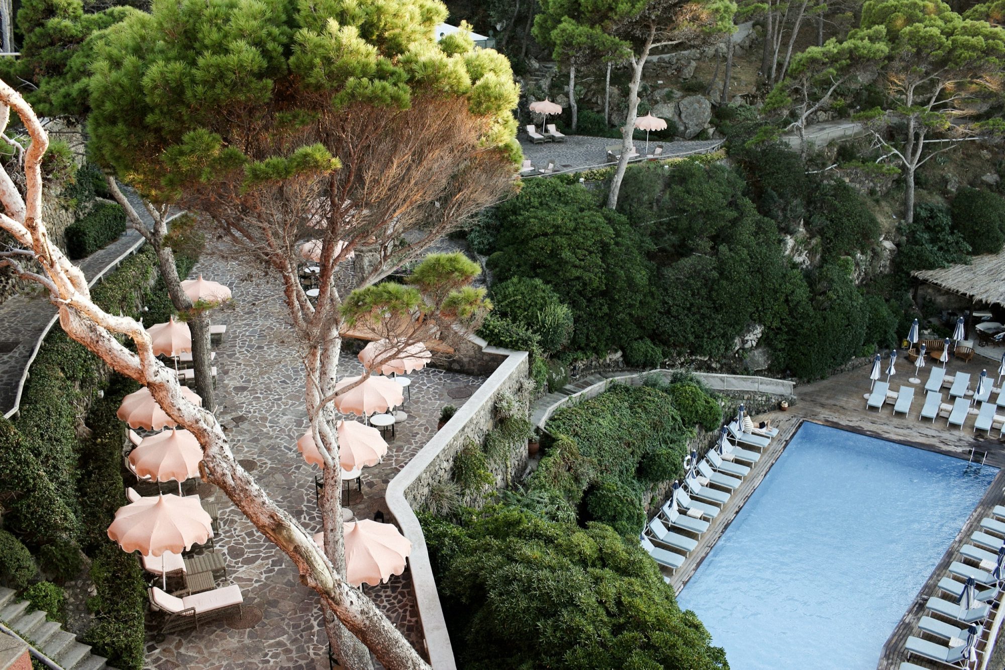 Seattle's best commercial food and hospitality photographer Aerial view of a serene outdoor pool surrounded by lounge chairs, stone walkways, lush greenery, and peach-colored umbrellas—captured by Seattles best commercial food lifestyle photographer in a rocky, tree-filled landscape. captured by seattle's best food and lifestyle photographer Brooke Fitts