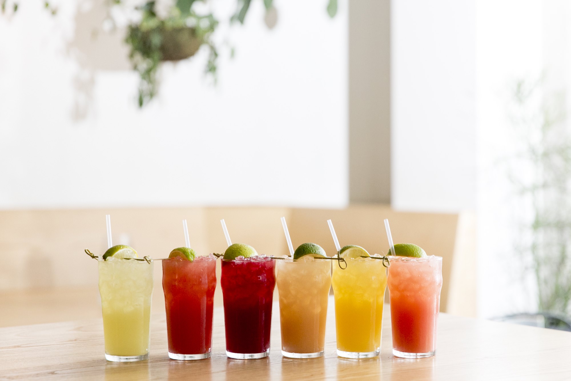 Seattle's best commercial food and hospitality photographer Six colorful iced drinks are lined up on a wooden table, each with a straw and a lime wedge garnish—captured by Seattles best commercial food lifestyle photographer against a softly blurred background with streaming light and green plants. captured by seattle's best food and lifestyle photographer Brooke Fitts