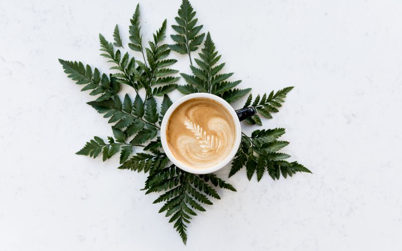 Seattle's best commercial food and hospitality photographer A cup of latte with leaf-shaped foam art sits on a white surface, surrounded by green fern leaves. Captured by Seattles best commercial food lifestyle photographer, this scene blends nature and coffee culture beautifully. captured by seattle's best food and lifestyle photographer Brooke Fitts