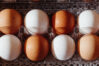 seattle_product_photographer_eggs