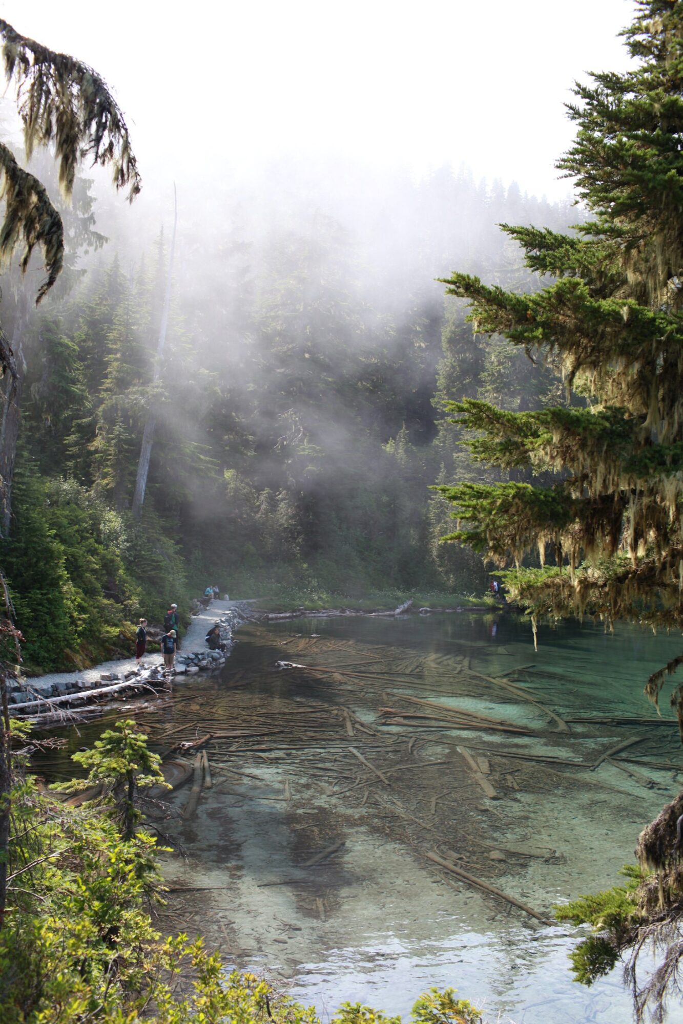 Seattle's best commercial food and hospitality photographer Clear alpine lake surrounded by dense evergreen trees and mist, captured by Seattles best commercial food lifestyle photographer. Sunlight filters through the fog above serene, shallow water filled with submerged logs as people stand near a rustic log bridge. captured by seattle's best food and lifestyle photographer Brooke Fitts