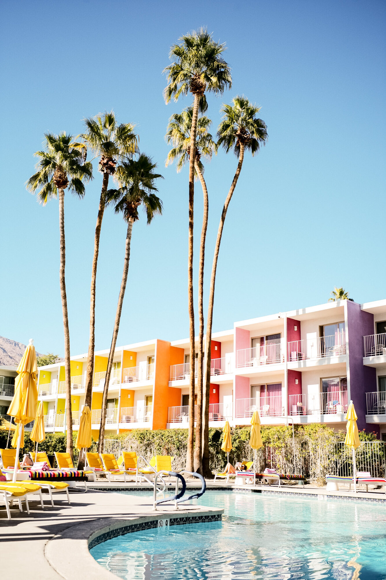 Seattle's best commercial food and hospitality photographer Tall palm trees surround a pool with yellow lounge chairs and umbrellas. Behind the pool, vibrant hotel balconies glow in bright colors under a clear blue sky—captured by Seattles best commercial food lifestyle photographer. captured by seattle's best food and lifestyle photographer Brooke Fitts