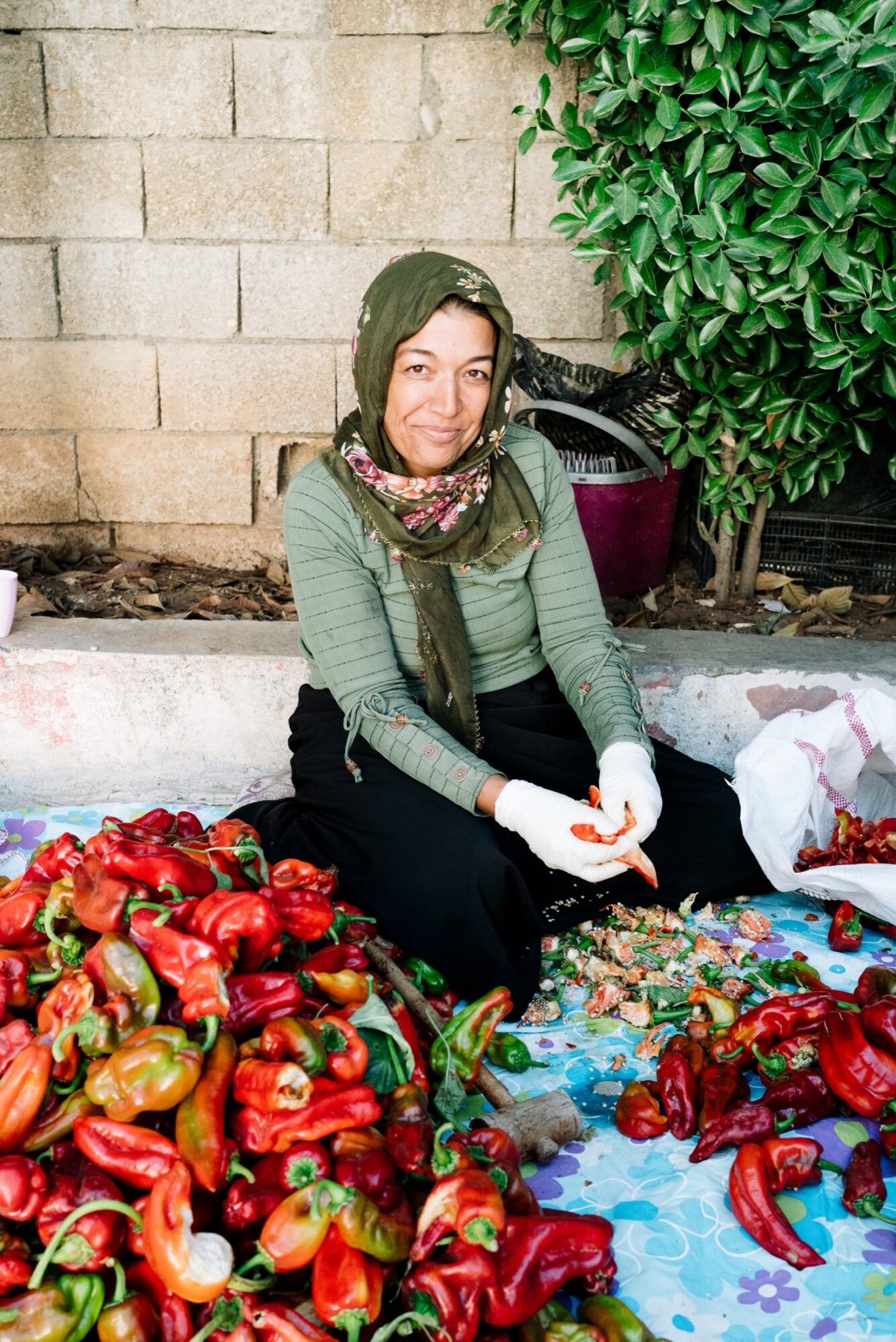 Seattle's best commercial food and hospitality photographer A woman wearing a green headscarf and gloves sits on the ground sorting and cleaning red peppers, surrounded by a large pile of peppers—captured beautifully by Seattles best commercial food lifestyle photographer. captured by seattle's best food and lifestyle photographer Brooke Fitts