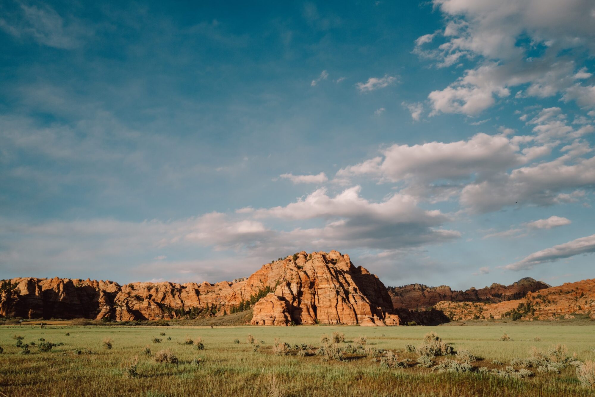 Seattle's best commercial food and hospitality photographer A wide grassy plain stretches toward striking red rock formations under a blue sky scattered with white clouds, captured with the keen eye of Seattles best commercial food lifestyle photographer. captured by seattle's best food and lifestyle photographer Brooke Fitts