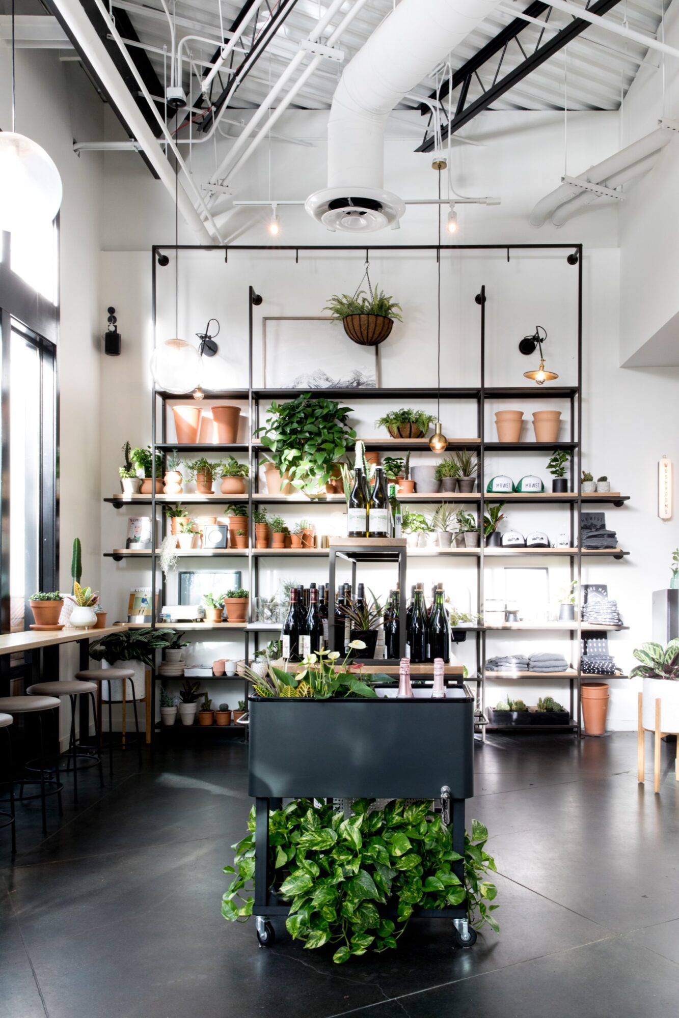 Seattle's best commercial food and hospitality photographer Bright, modern plant shop interior with a black shelving unit filled with potted plants, ceramics, and decor against a white wall—captured by Seattles best commercial food lifestyle photographer. Sunlight streams through large windows onto trailing greenery. captured by seattle's best food and lifestyle photographer Brooke Fitts