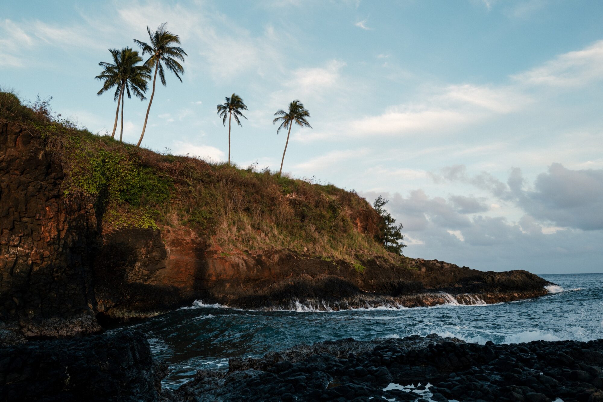 Seattle's best commercial food and hospitality photographer A rocky coastline with waves crashing against dark rocks, captured by Seattles best commercial food lifestyle photographer, showcases a grassy cliff crowned by five tall palm trees silhouetted against a partly cloudy sunset sky. captured by seattle's best food and lifestyle photographer Brooke Fitts