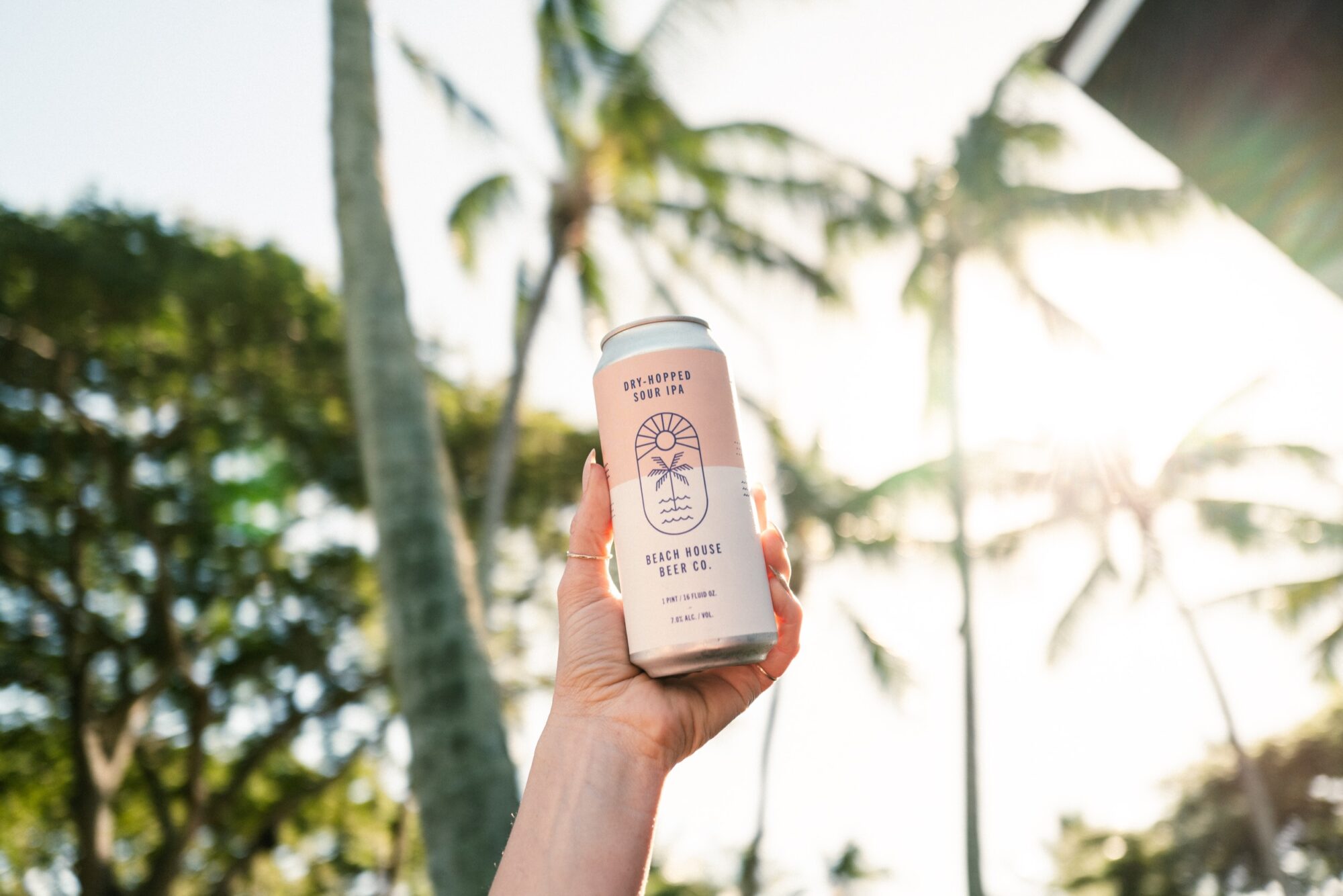 Seattle's best commercial food and hospitality photographer A hand holds up a can of Sun-Soaked Sesh IPA against a sunny sky and palm trees—captured by Seattles best commercial food lifestyle photographer. captured by seattle's best food and lifestyle photographer Brooke Fitts