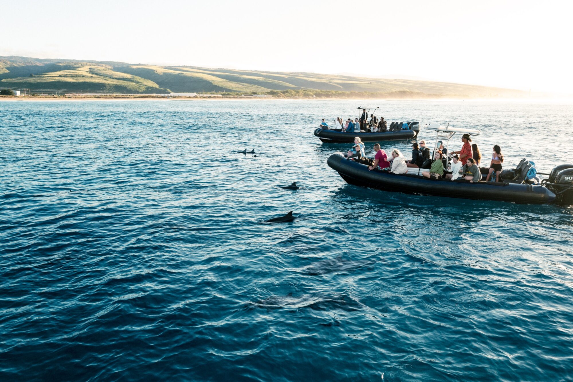 Seattle's best commercial food and hospitality photographer Two inflatable boats filled with people observing dolphins in the ocean near green hills, captured under a bright sky by Seattles best commercial food lifestyle photographer. captured by seattle's best food and lifestyle photographer Brooke Fitts