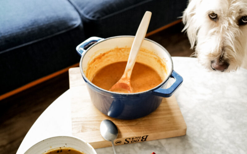 Seattle's best commercial food and hospitality photographer A bowl and a pot of creamy soup sit on a marble table beside a blue sofa. A spoon, napkin, and cutting board are nearby. Captured by Seattles best commercial food lifestyle photographer, a fluffy white dog looks at the table with curiosity. captured by seattle's best food and lifestyle photographer Brooke Fitts