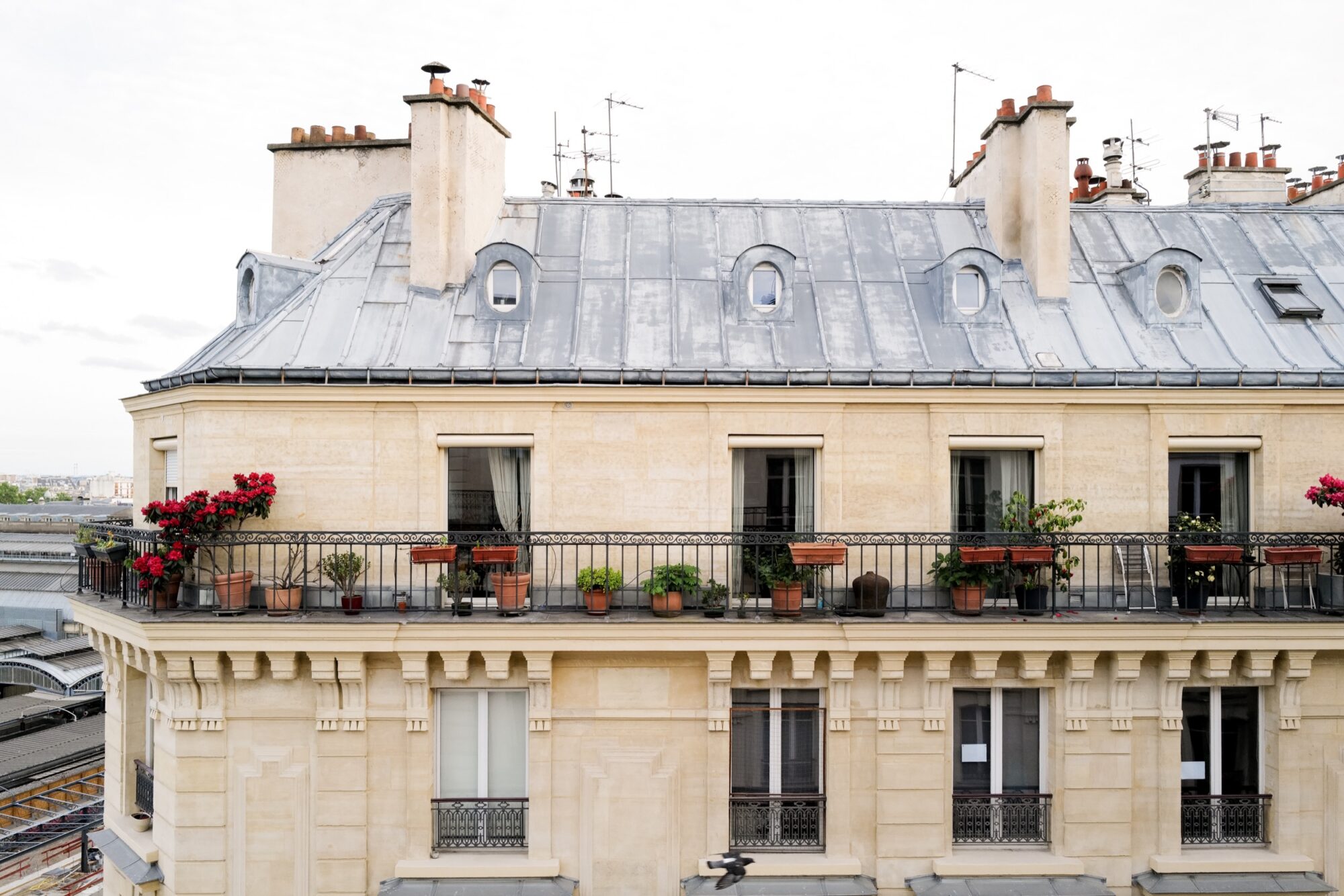 Seattle's best commercial food and hospitality photographer A beige Parisian apartment building with a gray mansard roof and multiple chimneys, captured by Seattles best commercial food lifestyle photographer. The balcony features potted plants and red flowers, with railway tracks visible on the left side. captured by seattle's best food and lifestyle photographer Brooke Fitts