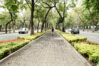 mexico_city_brooke_fitts_travel_photographer188