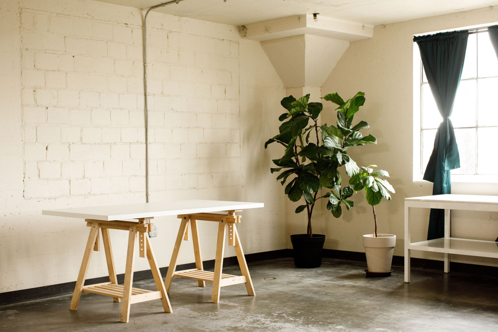 Seattle's best commercial food and hospitality photographer Minimalist workspace with a white desk on wooden sawhorse legs, a fiddle leaf fig plant, and a large window with dark curtains—styled to perfection by Seattles best commercial food lifestyle photographer. captured by seattle's best food and lifestyle photographer Brooke Fitts