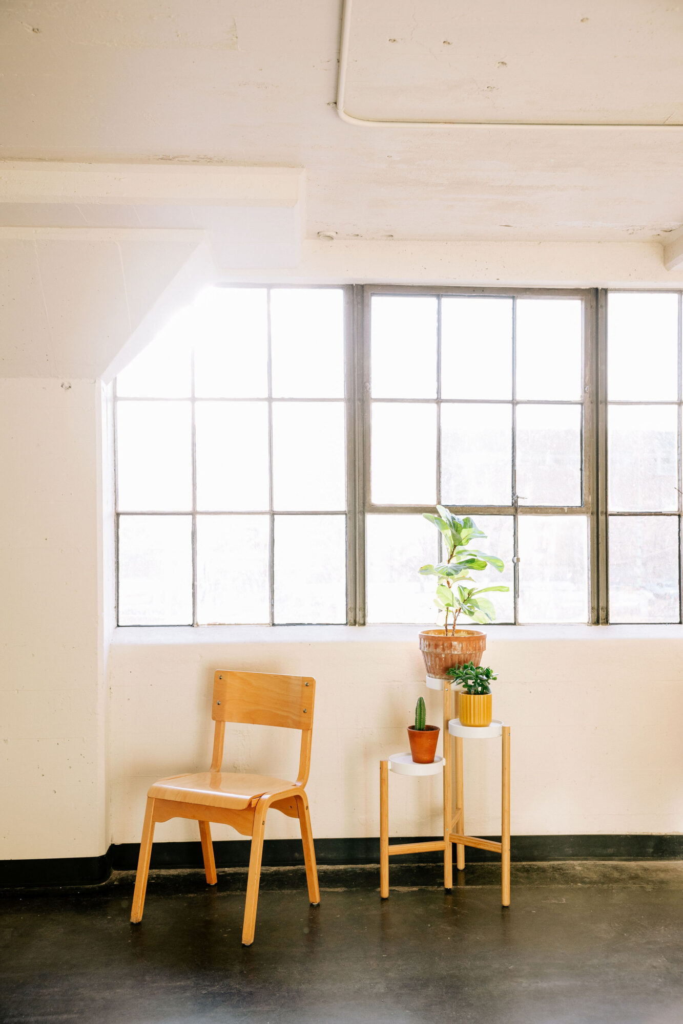Seattle's best commercial food and hospitality photographer A bright room with large windows, a simple wooden chair, two small tables with potted plants, and sunlight streaming in—captured by Seattles best commercial food lifestyle photographer for a minimal and airy atmosphere. captured by seattle's best food and lifestyle photographer Brooke Fitts