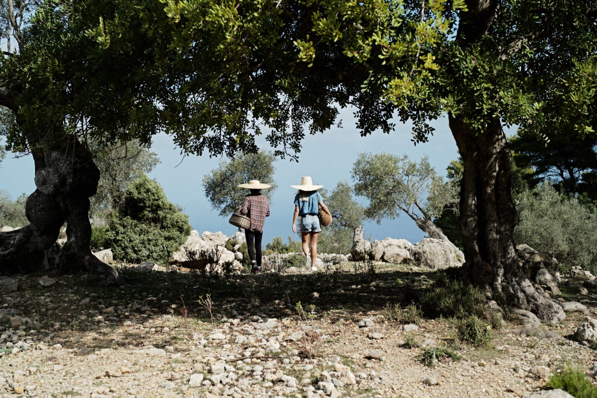 Seattle's best commercial food and hospitality photographer Two people wearing large sun hats walk away on a rocky path under the shade of trees, with a view of greenery and a hazy blue sky in the background. captured by seattle's best food and lifestyle photographer Brooke Fitts