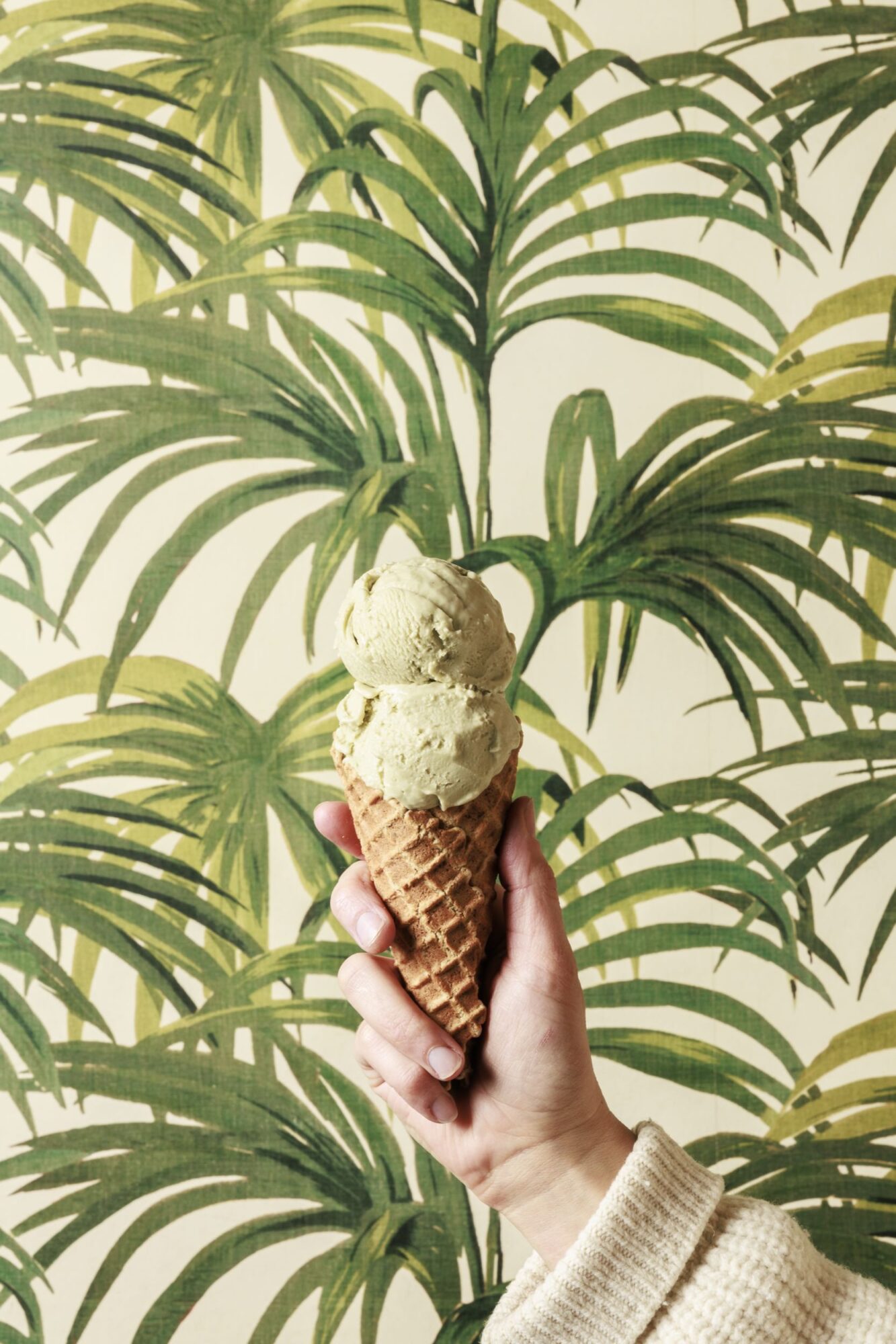 A hand in a beige sweater holds a waffle cone with two scoops of green ice cream, posed in front of a wallpaper featuring large, green palm leaves. captured by seattle's best food and hospitality photographer Brooke Fitts
