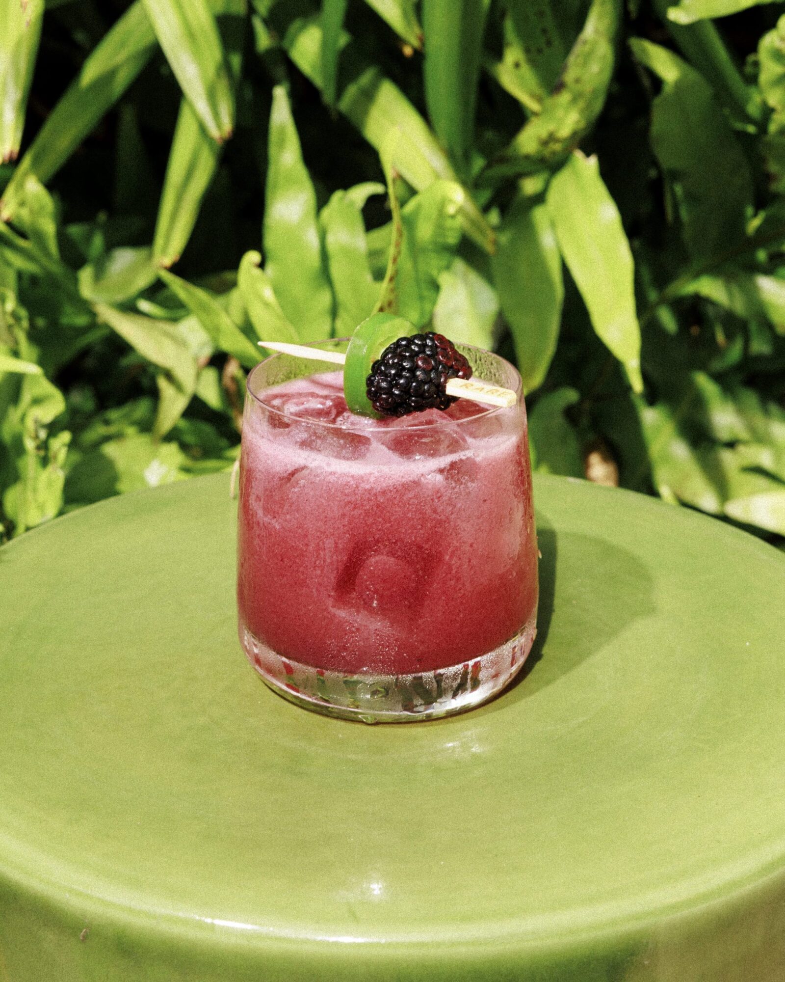 A glass of purple-red iced cocktail garnished with a blackberry and lime slice sits on a green surface, with leafy green plants in the background. captured by seattle's best food and hospitality photographer Brooke Fitts