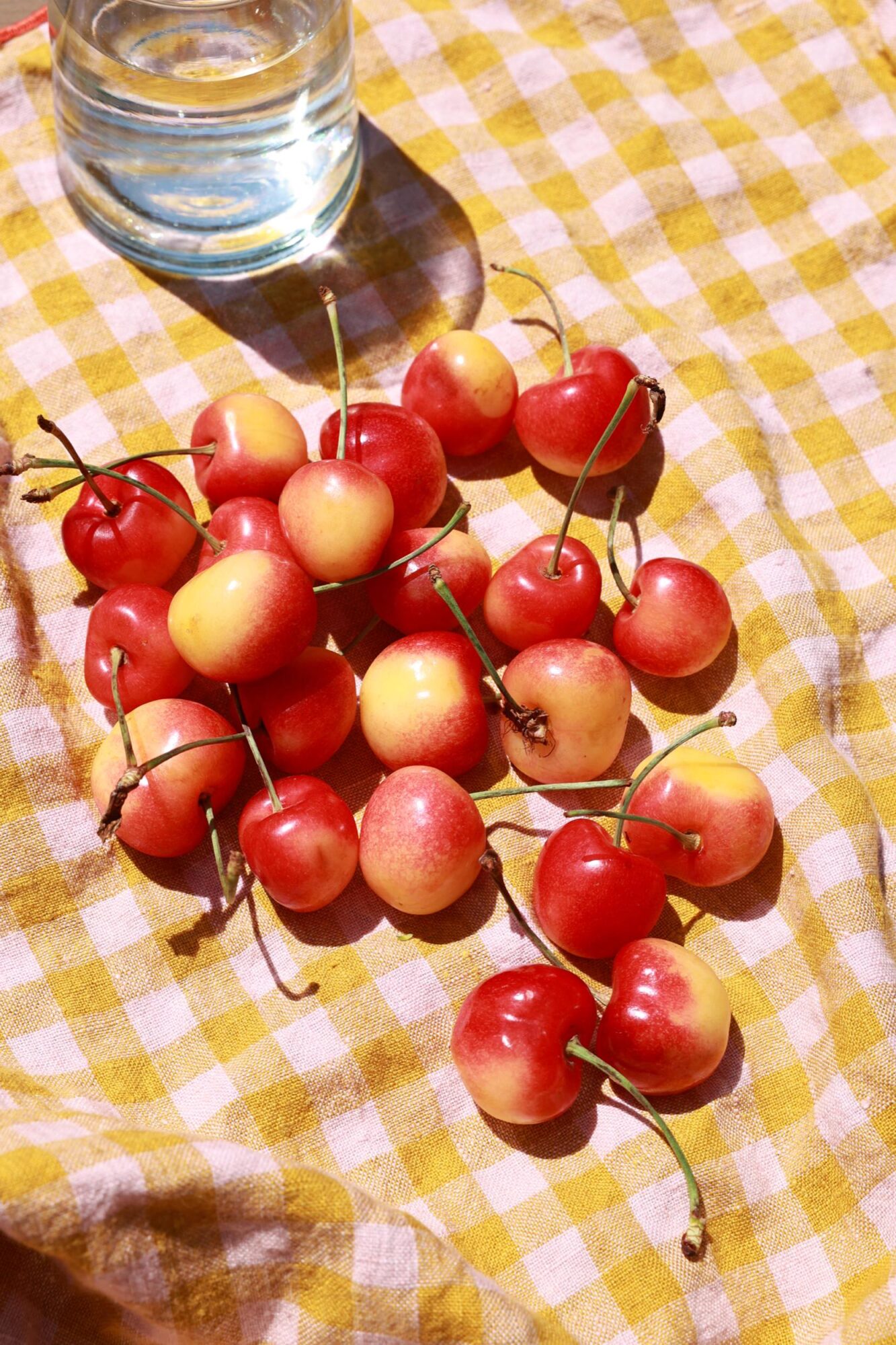 A bunch of Rainier cherries with red and yellow skins are scattered on a yellow-and-white checkered cloth next to a glass of water in bright sunlight. captured by seattle's best food and hospitality photographer Brooke Fitts
