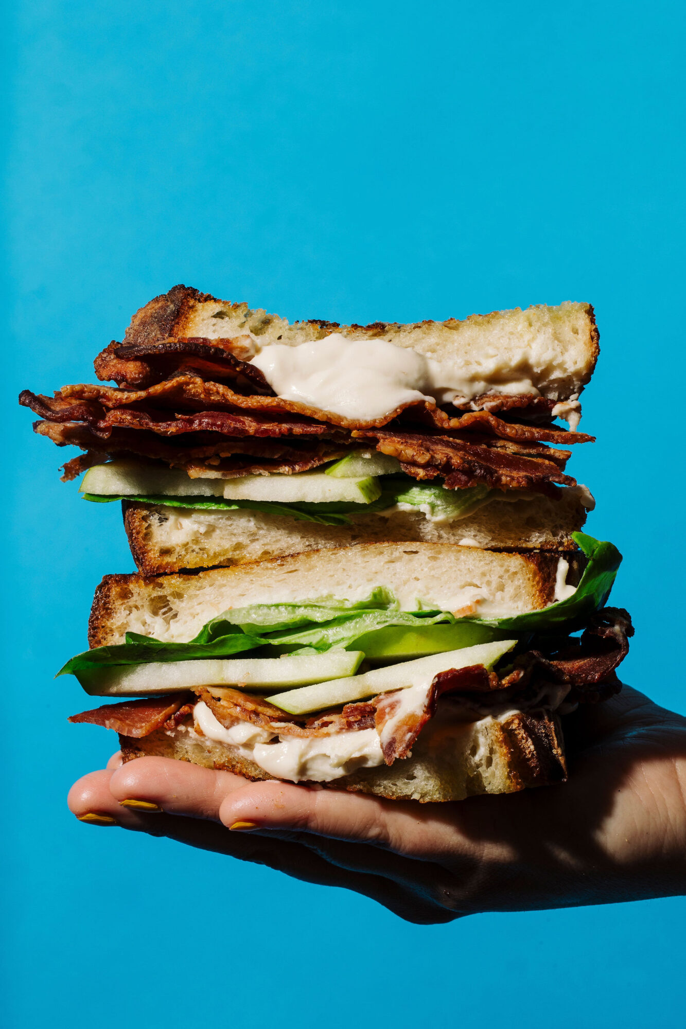 A hand holds a stacked sandwich filled with crispy bacon, lettuce, cucumber slices, and creamy sauce, between thick slices of toasted bread, against a bright blue background. captured by seattle's best food and hospitality photographer Brooke Fitts