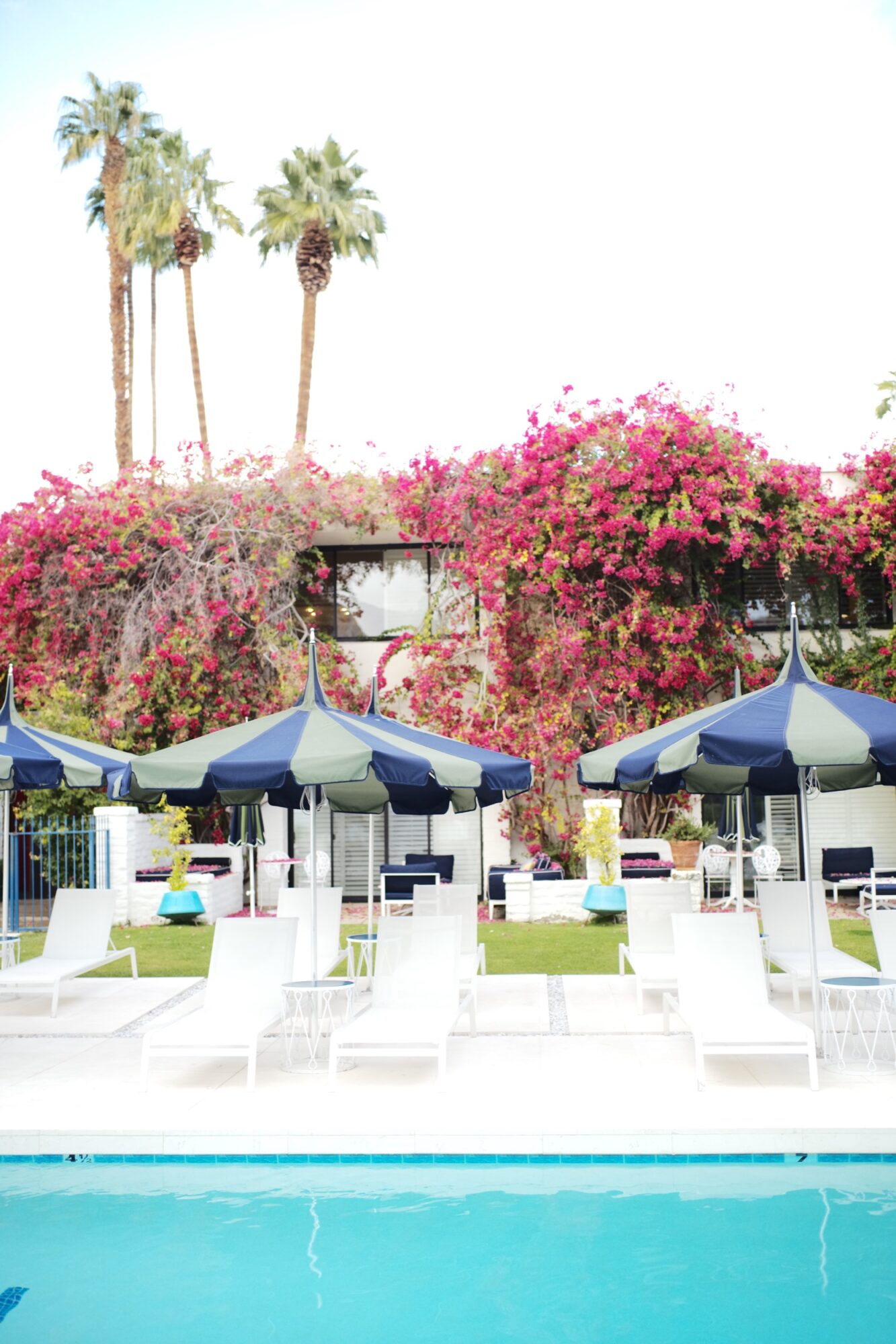 A swimming pool with white lounge chairs and blue-striped umbrellas in front of a building covered in vibrant pink bougainvillea, with tall palm trees in the background under a bright sky. captured by seattle's best food and hospitality photographer Brooke Fitts